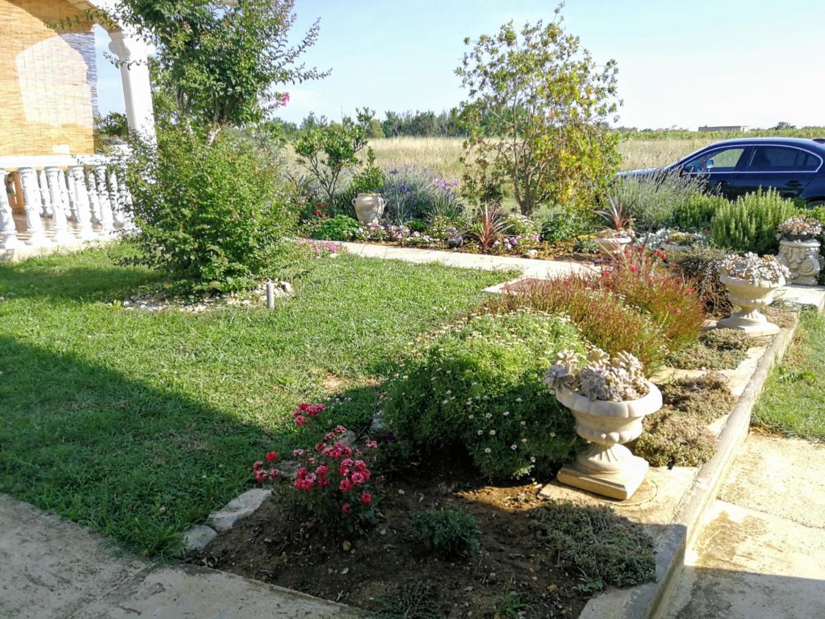 Villa Flora Maris Apartments Privlaka  Zewnętrze zdjęcie